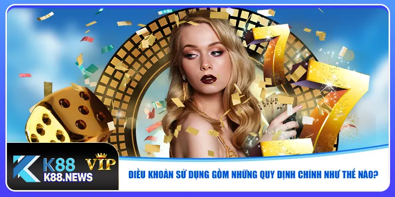 Điều khoản sử dụng gồm những quy định chính như thế nào?